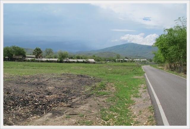 818sqw Nongkwai hangdong ricefield, Chiangmai.